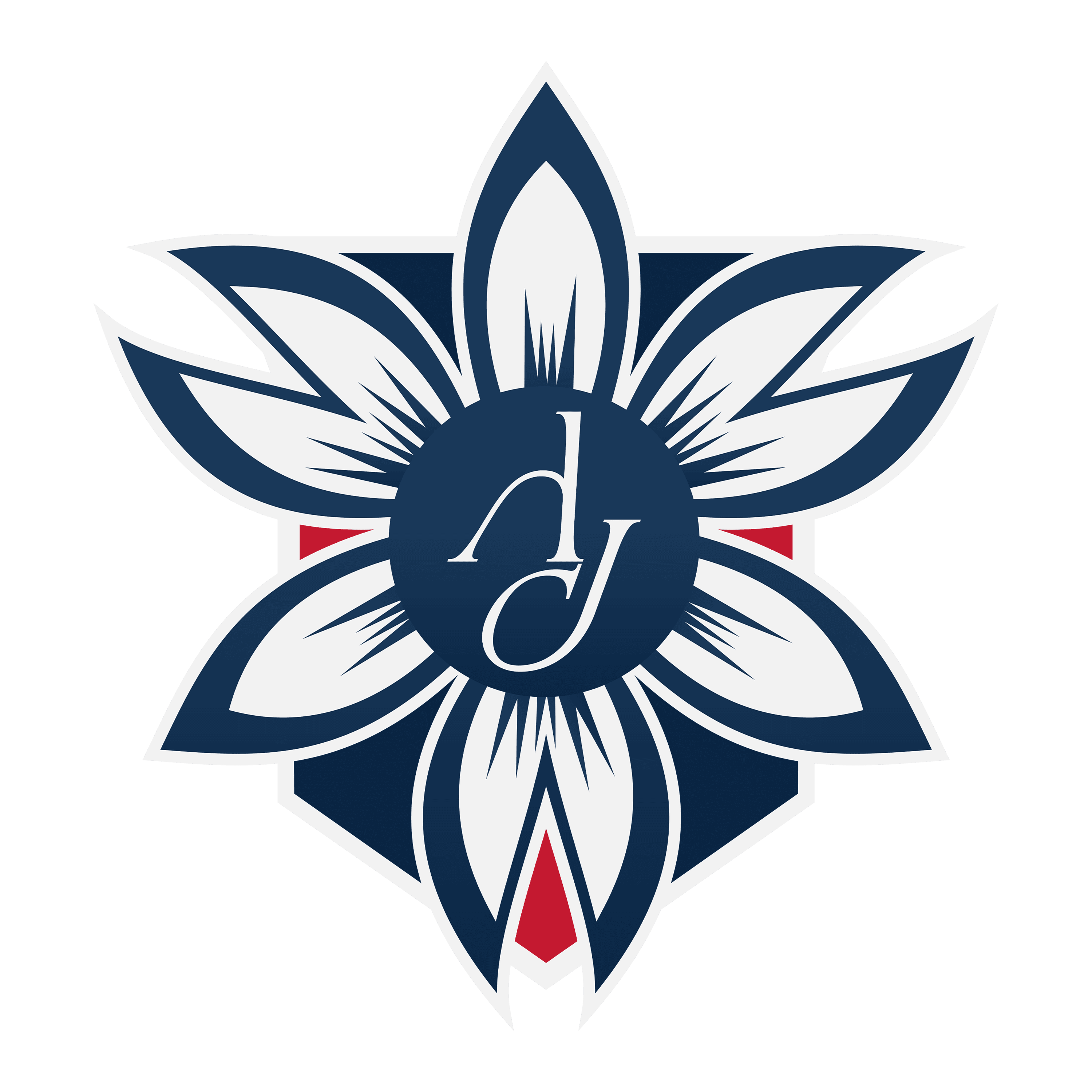 France AJ Alimentaire – B2B Food Commodity Procurement & Global Export